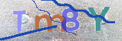 CAPTCHA-Bild