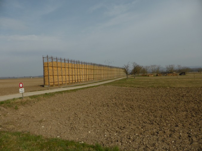 P1020465