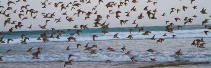 cropped-IMG_1845.jpg